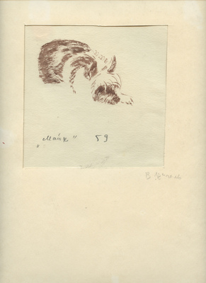 Цигаль Виктор Ефимович. Майк